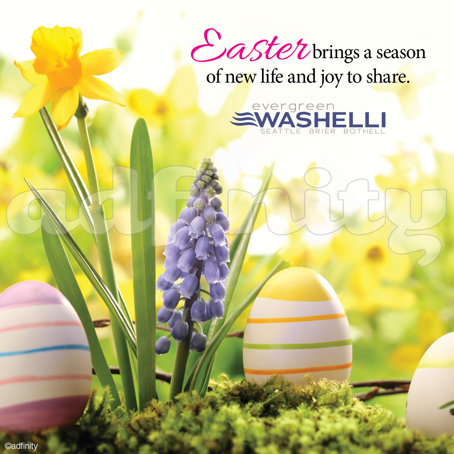 Easter brings a season of new life and joy to share adfinity