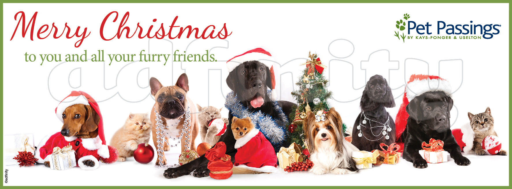 merry christmas to you and all your furry friends facebook cover