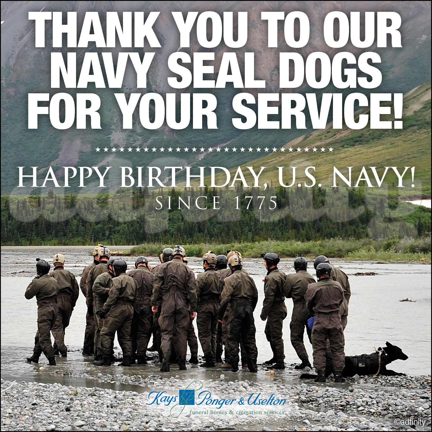 Thank you to our Navy Seal Dogs for your service! (Facebook) - adfinity