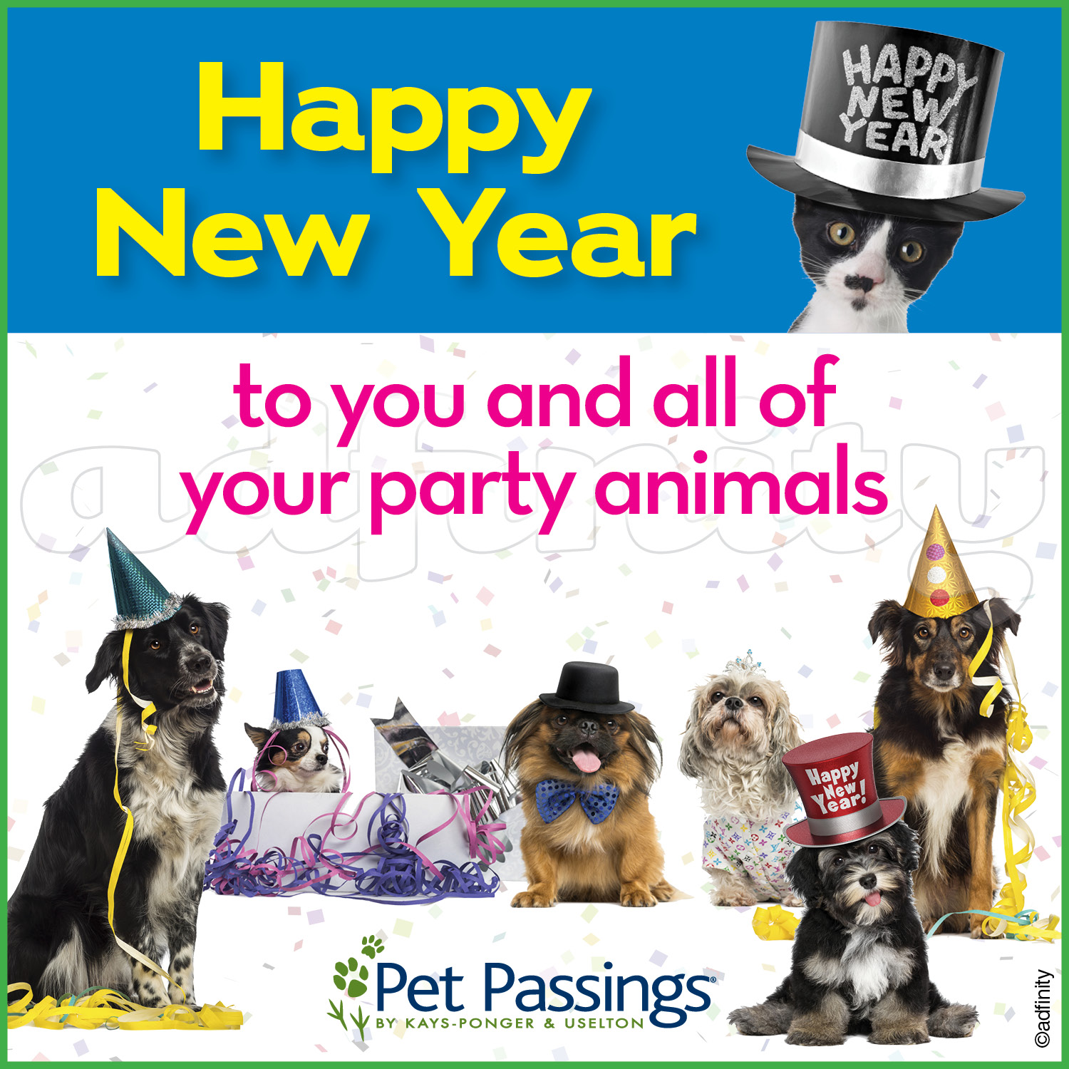 Happy New Year to you and all of your party animals! (Facebook) - adfinity